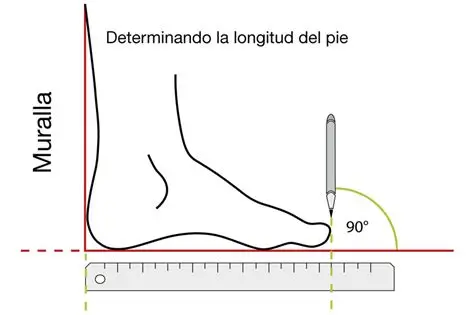 Guia de Tallas